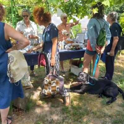 Fb Img 1654452114645